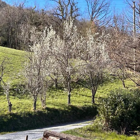 Private Secluded For 20 Guests On Large Private Estate - - Tenniscourt - Savone 빌라 카이로 몬테노테
