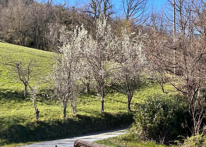 Private Secluded For 20 Guests On Large Private Estate - - Tenniscourt - Savone Villa Cairo Montenotte
